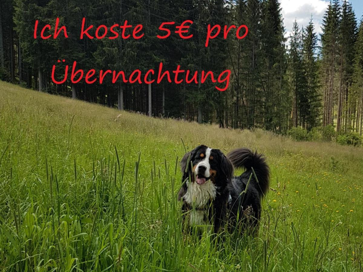Ferienwohnung Borner Feldberg  Εξωτερικό φωτογραφία
